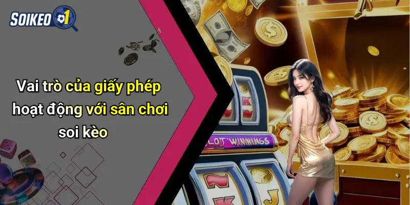 Vai trò của giấy phép hoạt động với sân chơi soi kèo