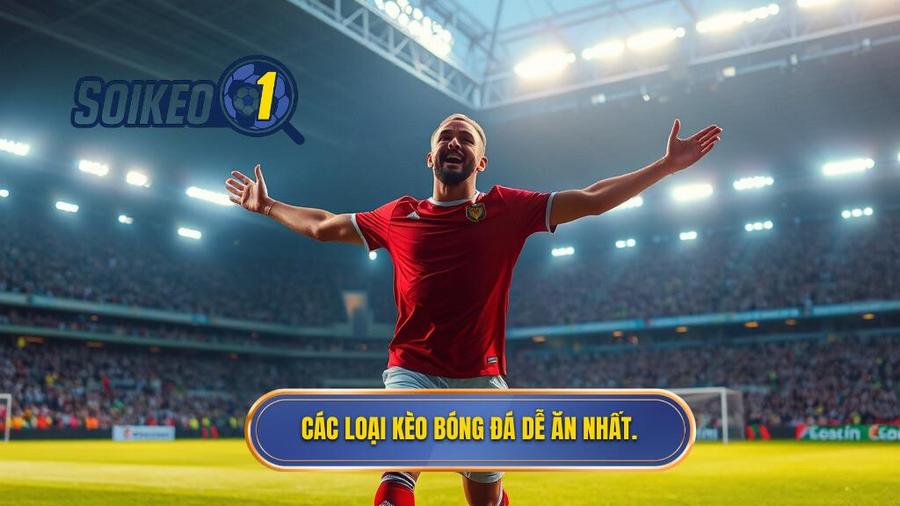 Top những loại kèo bóng đá dễ ăn nhất hiện nay